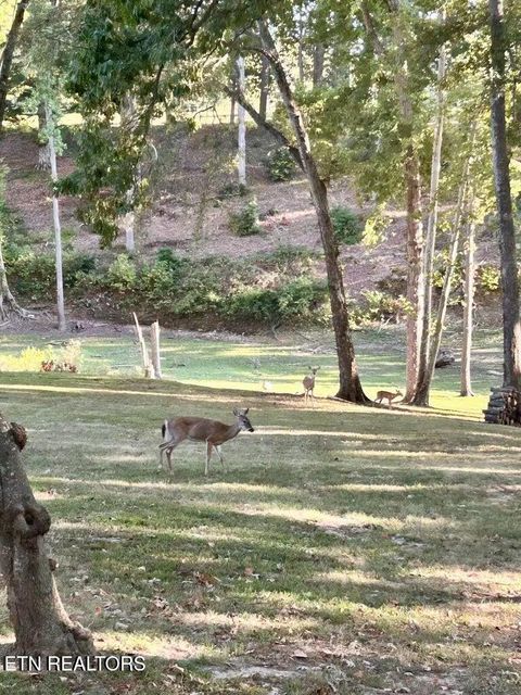 Tiny photo for 630 Ancient Oaks Court, White Pine, TN 37890 (MLS # 1333078)