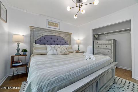 Tiny photo for 630 Ancient Oaks Court, White Pine, TN 37890 (MLS # 1333078)