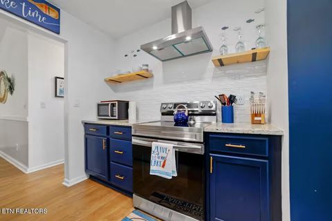 Tiny photo for 630 Ancient Oaks Court, White Pine, TN 37890 (MLS # 1333078)