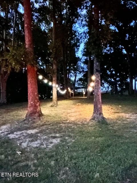 Tiny photo for 630 Ancient Oaks Court, White Pine, TN 37890 (MLS # 1333078)