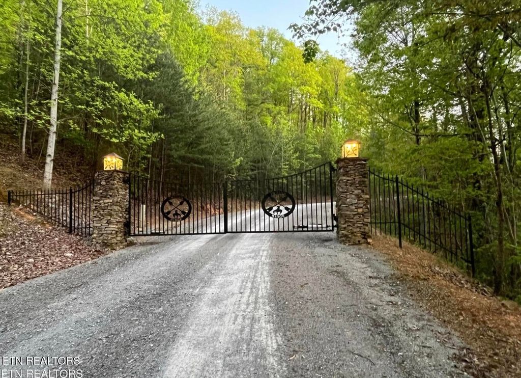 Photo of 124 Indian Ridge Dr, Tellico Plains, TN 37385 (MLS # 1336423)