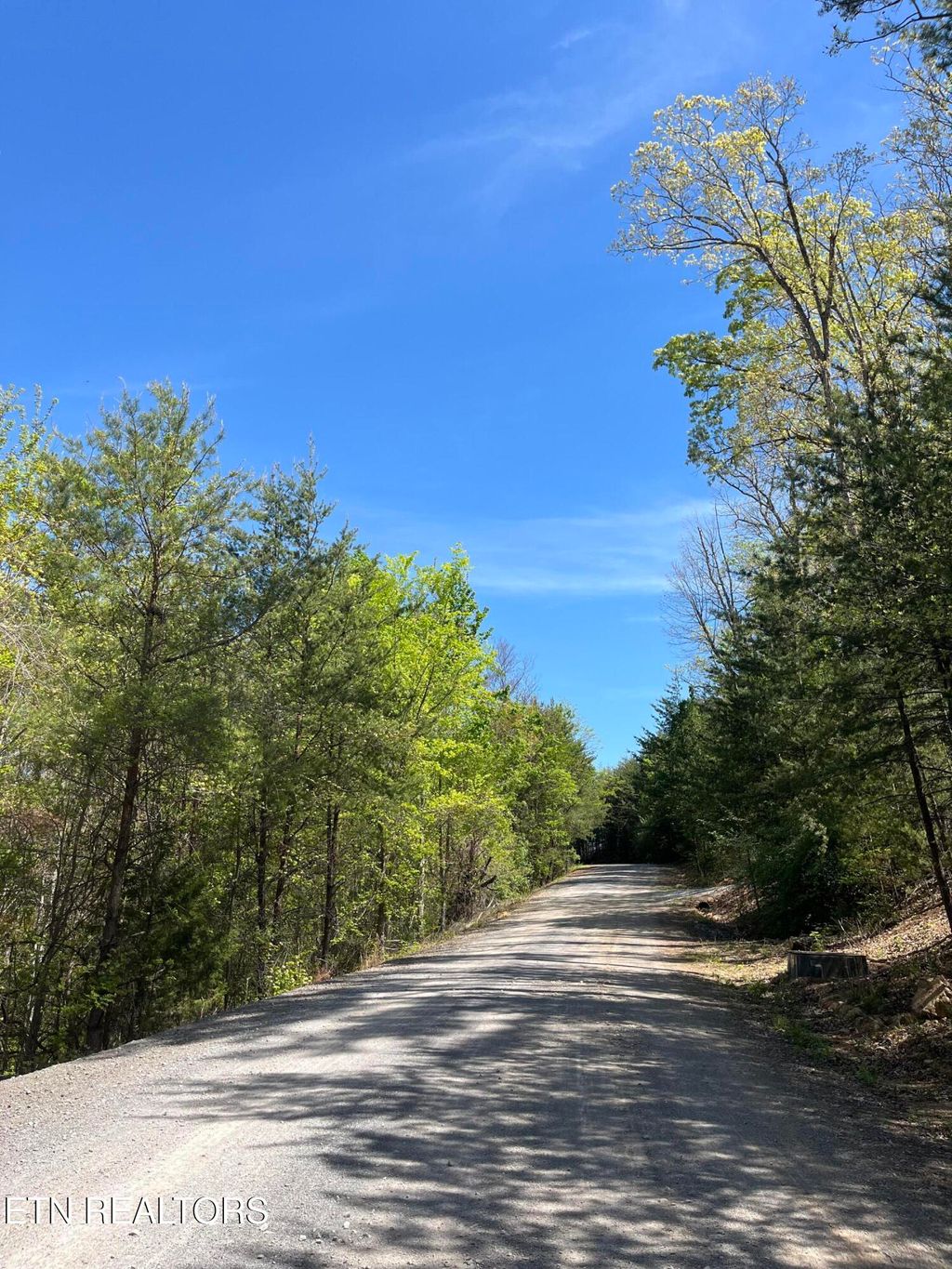 Photo of 124 Indian Ridge Dr, Tellico Plains, TN 37385 (MLS # 1336423)