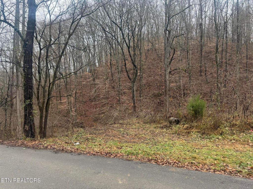 Photo of Mt Olive Rd Rd, Andersonville, TN 37705 (MLS # 1323665)