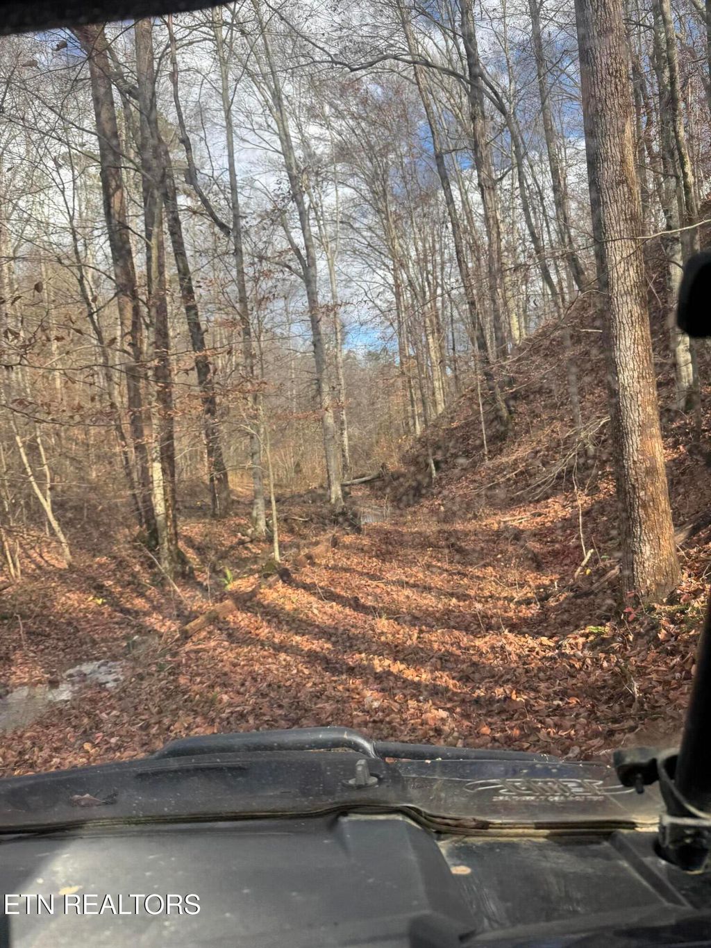 Photo of Mt Olive Rd Rd, Andersonville, TN 37705 (MLS # 1323665)