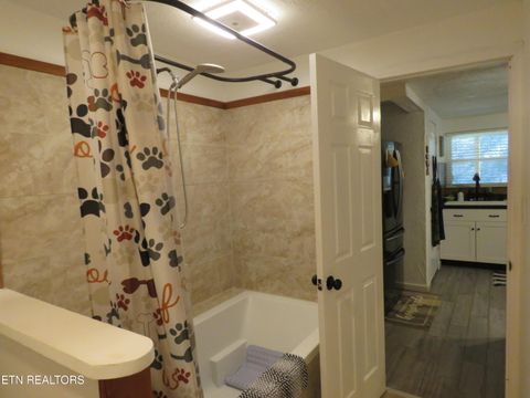 Tiny photo for 446 Lovers Lane, Townsend, TN 37882 (MLS # 1328313)