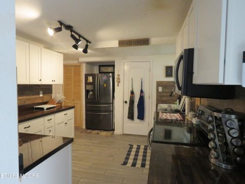 Tiny photo for 446 Lovers Lane, Townsend, TN 37882 (MLS # 1328313)