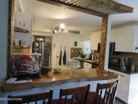 Tiny photo for 446 Lovers Lane, Townsend, TN 37882 (MLS # 1328313)