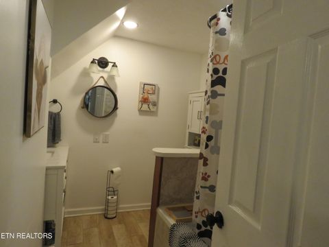 Tiny photo for 446 Lovers Lane, Townsend, TN 37882 (MLS # 1328313)