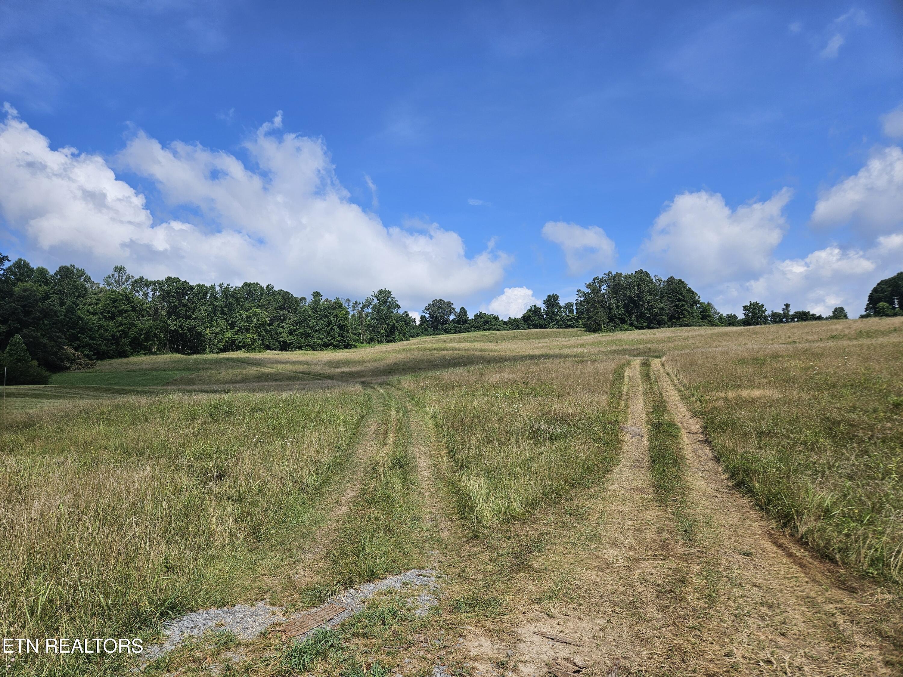 Hickory Valley Road Rd