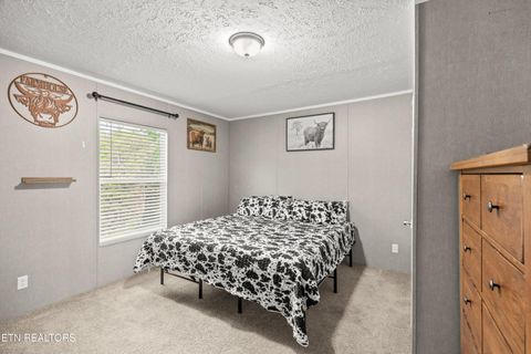 Tiny photo for 103 Hidden Estates Way, Newport, TN 37821 (MLS # 1338406)