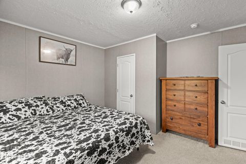 Tiny photo for 103 Hidden Estates Way, Newport, TN 37821 (MLS # 1338406)