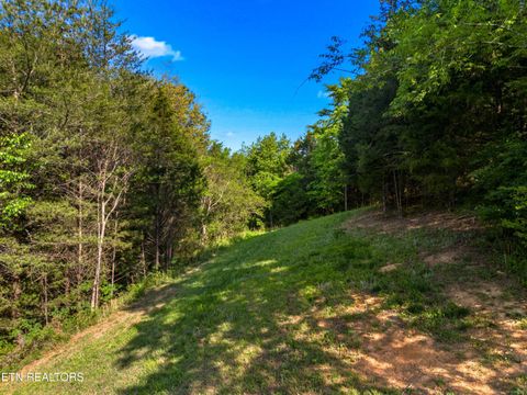 Tiny photo for 103 Hidden Estates Way, Newport, TN 37821 (MLS # 1338406)