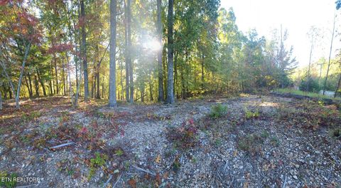 Tiny photo for 1613 New Hope Rd, Rockwood, TN 37854 (MLS # 1324368)