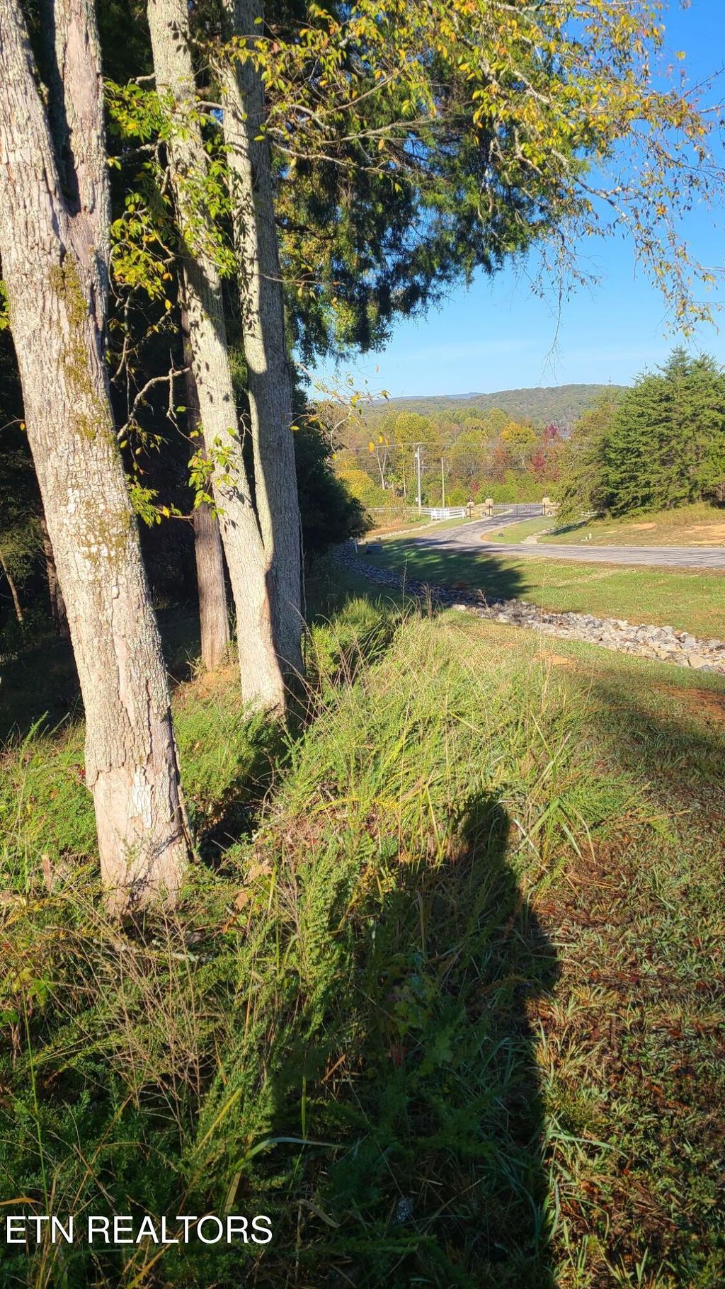 Photo of 1613 New Hope Rd, Rockwood, TN 37854 (MLS # 1324368)