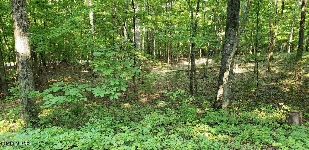 Photo of 244 Gadusi Way, Loudon, TN 37774 (MLS # 1351891)