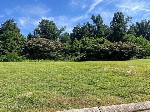 Lot 10-12 Shooting Star Loop Townsend TN 37882