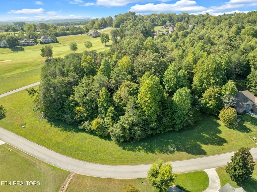 Photo of 711 Wood Duck Drive, Vonore, TN 37885 (MLS # 1314625)