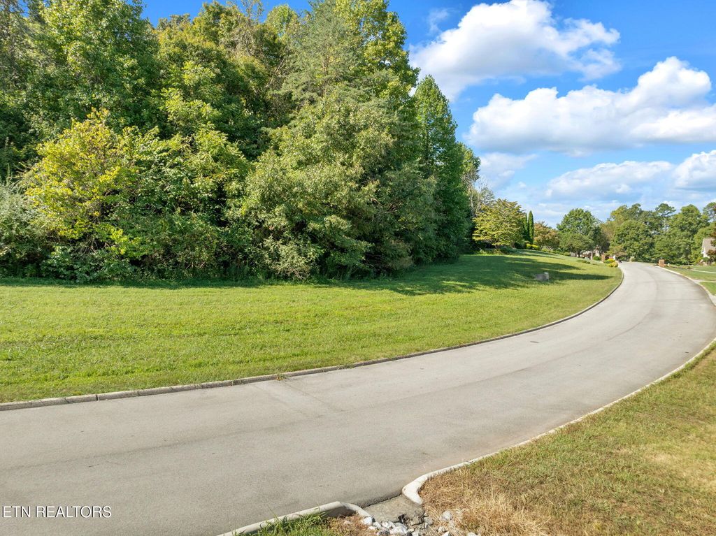 Photo of 711 Wood Duck Drive, Vonore, TN 37885 (MLS # 1314625)