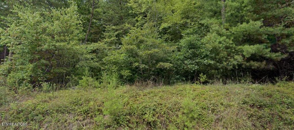 Photo of 0 Ross Williams Rd, Lancing, TN 37770 (MLS # 1319727)