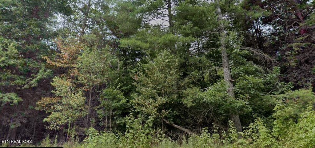 Photo of 0 Ross Williams Rd, Lancing, TN 37770 (MLS # 1319727)