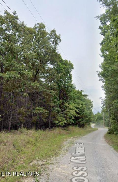 Tiny photo for 0 Ross Williams Rd, Lancing, TN 37770 (MLS # 1319727)