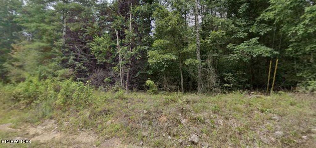 Photo of 0 Ross Williams Rd, Lancing, TN 37770 (MLS # 1319727)