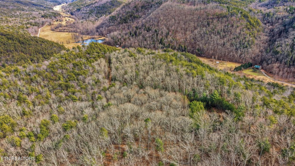 Photo of Steer Creek Rd, Tellico Plains, TN 37385 (MLS # 1329105)