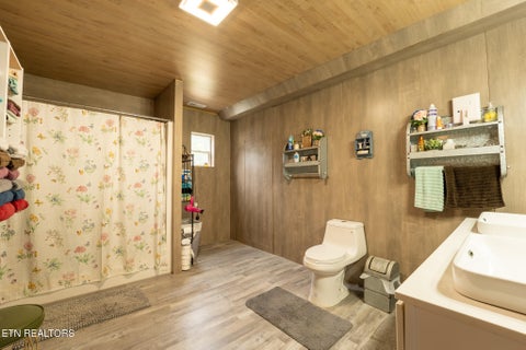 Tiny photo for 1445 Coon Hollow Rd, Sunbright, TN 37872 (MLS # 1355718)
