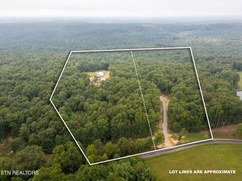 Photo of 1445 Coon Hollow Rd, Sunbright, TN 37872 (MLS # 1355718)