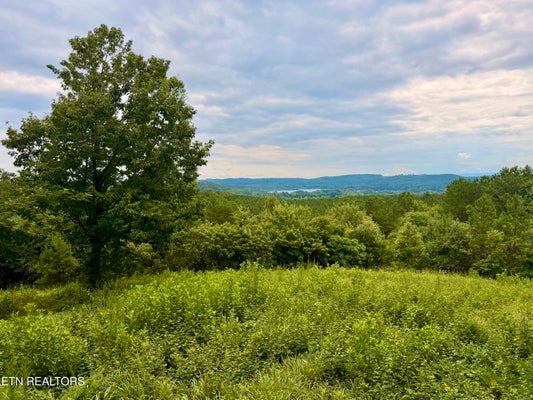 EADS BLUFF RD NW, GEORGETOWN, TN 37336 - Image 7ae9ee6d4112f273e5bd7e1faecb6711/2093814708