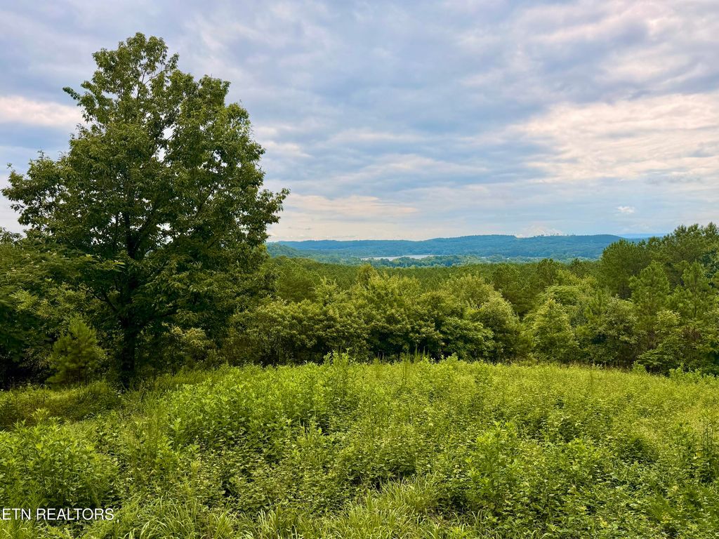 Photo of NW Eads Bluff Rd, Georgetown, TN 37336 (MLS # 1348756)