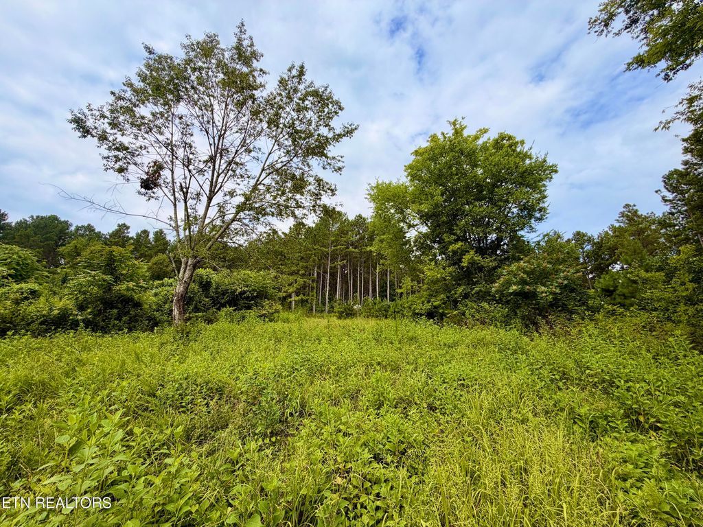 Photo of NW Eads Bluff Rd, Georgetown, TN 37336 (MLS # 1348756)