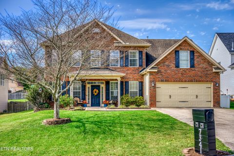 Photo of 7341 Redwing Lane Lane, Knoxville, TN 37931 (MLS # 1318342)