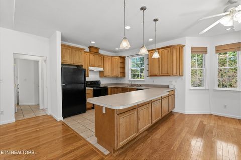 Tiny photo for 204 David Rd, Clinton, TN 37716 (MLS # 1337226)