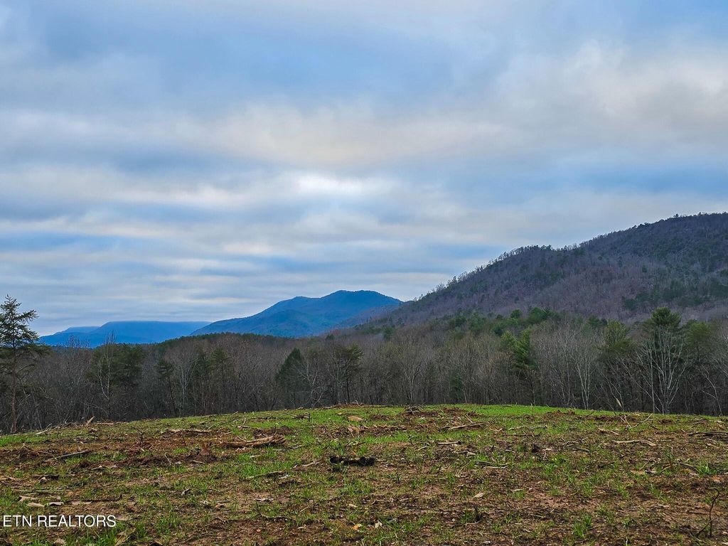 Photo of Creek Rd, Reliance, TN 37369 (MLS # 1330649)