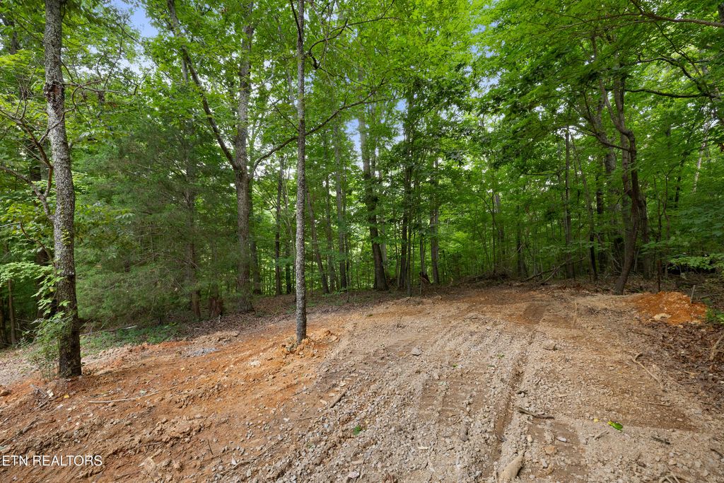 Photo of Bert Newman Lane #2r2, Knoxville, TN 37931 (MLS # 1345776)