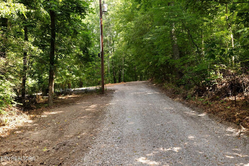 Photo of Bert Newman Lane #2r2, Knoxville, TN 37931 (MLS # 1345776)