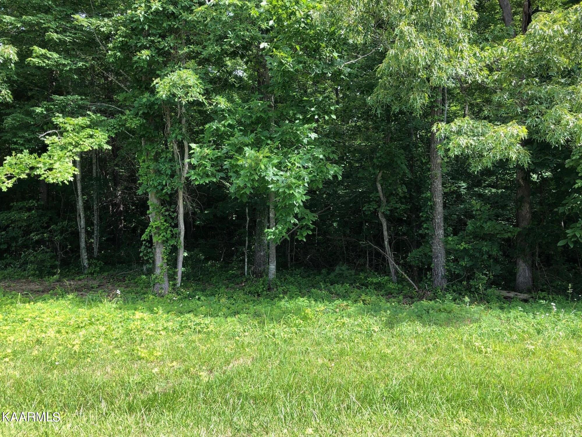 Photo 1 of 1 of 121 Windsor Rd land
