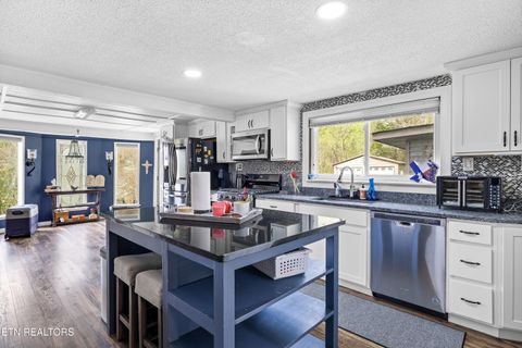 Tiny photo for 3881 Richardson Cove Rd, Sevierville, TN 37876 (MLS # 1335658)