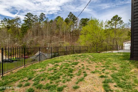 Tiny photo for 3881 Richardson Cove Rd, Sevierville, TN 37876 (MLS # 1335658)