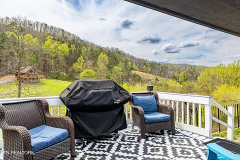 Tiny photo for 3881 Richardson Cove Rd, Sevierville, TN 37876 (MLS # 1335658)