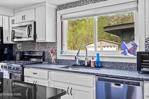 Tiny photo for 3881 Richardson Cove Rd, Sevierville, TN 37876 (MLS # 1335658)