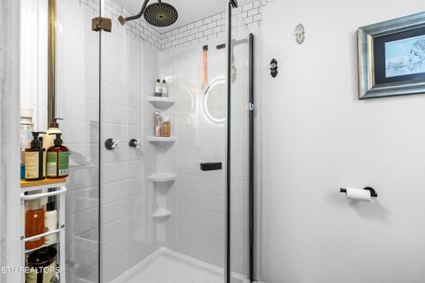 Tiny photo for 3881 Richardson Cove Rd, Sevierville, TN 37876 (MLS # 1335658)