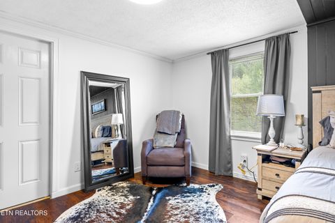 Tiny photo for 3881 Richardson Cove Rd, Sevierville, TN 37876 (MLS # 1335658)