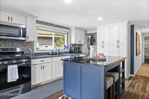 Tiny photo for 3881 Richardson Cove Rd, Sevierville, TN 37876 (MLS # 1335658)