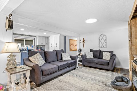 Tiny photo for 3881 Richardson Cove Rd, Sevierville, TN 37876 (MLS # 1335658)