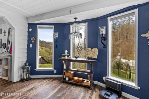 Tiny photo for 3881 Richardson Cove Rd, Sevierville, TN 37876 (MLS # 1335658)