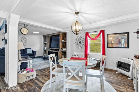 Tiny photo for 3881 Richardson Cove Rd, Sevierville, TN 37876 (MLS # 1335658)