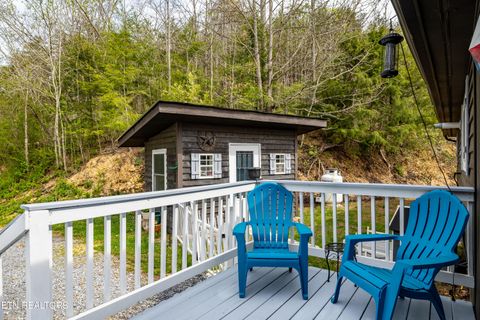 Tiny photo for 3881 Richardson Cove Rd, Sevierville, TN 37876 (MLS # 1335658)
