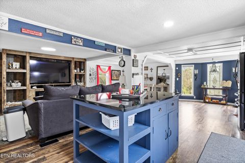 Tiny photo for 3881 Richardson Cove Rd, Sevierville, TN 37876 (MLS # 1335658)